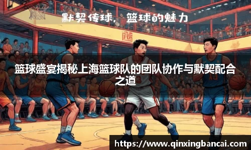 篮球盛宴揭秘上海篮球队的团队协作与默契配合之道